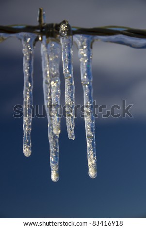 Ice cluster hangs from barb wire fence