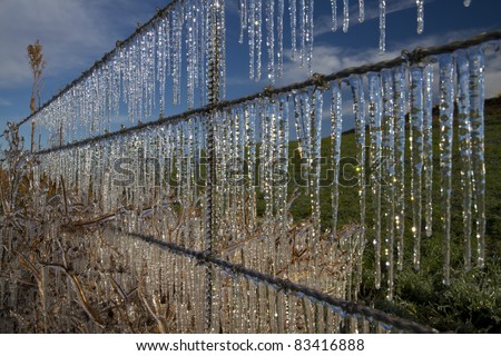Ice hangs from barb wire fence line