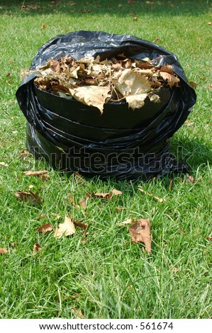 A bag of leaves in the yard