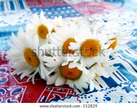Picnic table covered in American cloth with a bouquet of wild daisies.