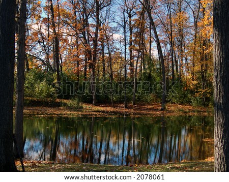 Serene Pond