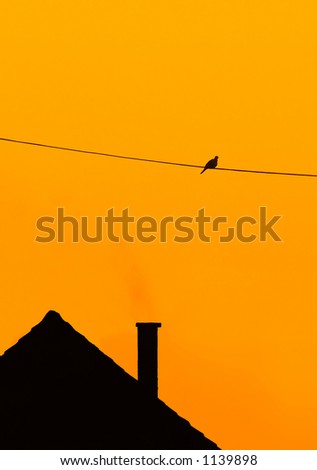 sunset silhouette of house and bird