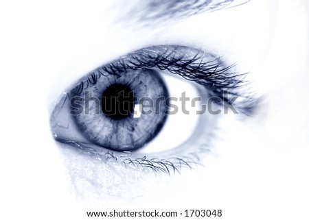 white background picture. eye on white background
