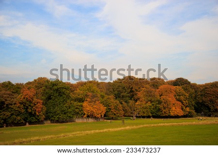 Indian summer time near the lake in Raadvand, Denmark