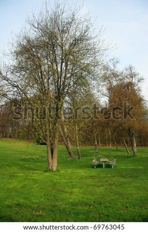 picnic place in a park