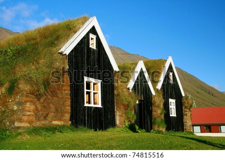 typical scandinavian house with grass on the roof