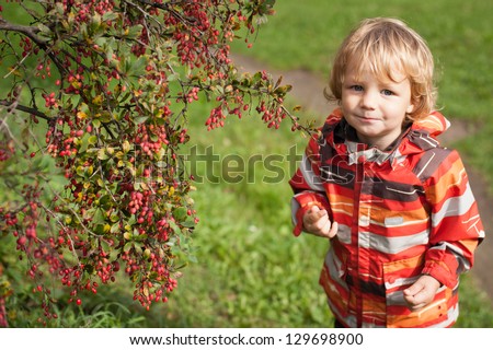 Little boy in the garden next to the barberry bush/Little boy in the autumn garden