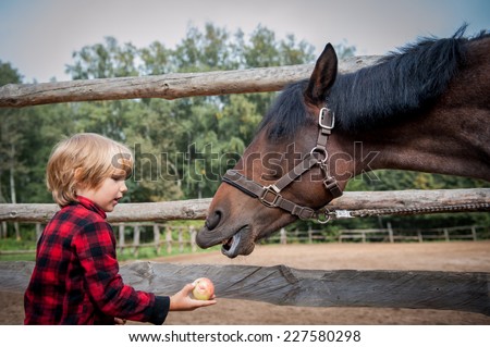 Boy gives a horse an apple