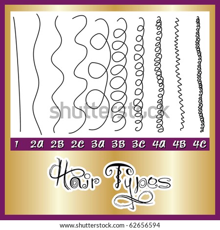 Types Hair on Hair Type  The Single Biggest Factor That Limits Your Hair Style