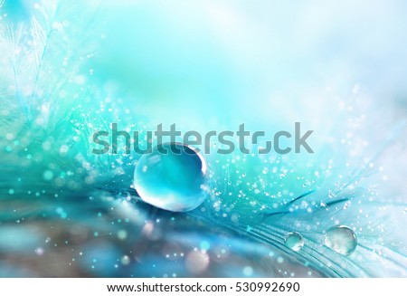 A drop of water dew on a fluffy feather close-up macro with sparkling bokeh on blue blurred background. Abstract romantic delicate magical artistic image for the holiday, cards, christmas, new year.