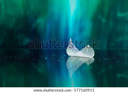 White transparent leaf on mirror surface with reflection on green background macro. Abstract artistic image of ship in waters of lake. Template Border natural dreamy artistic image for traveling .
