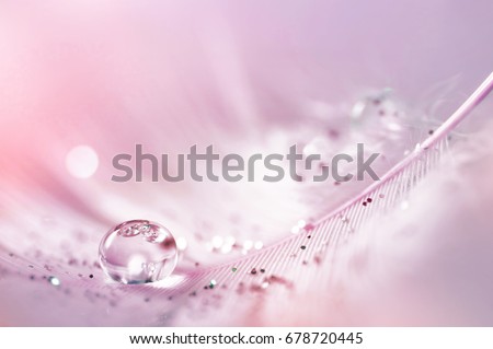 Feather pink bird with sparkles and transparent drop of dew water sparkles in the rays of bright light close-up macro. Glamorous sophisticated airy artistic image on a soft blurred background.