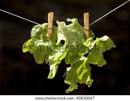 A different way to dry salad after wash.