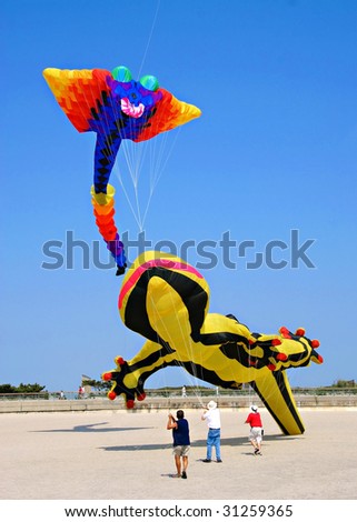 Kites  Festival at Rockaway Beach,Queens,New York