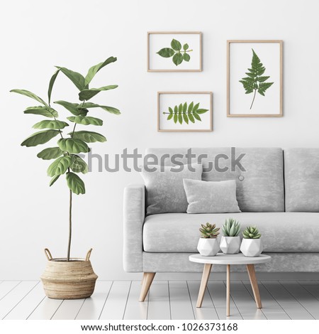 Living room interior with gray velvet sofa, fiddle leaf tree in wicker basket, succulents on coffee table and three frames with leaves on white wall background. 3D rendering.