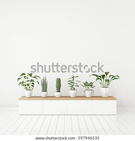 White nordic style interior with plants in pots on wooden console and empty space on the wall. 3d rendering.