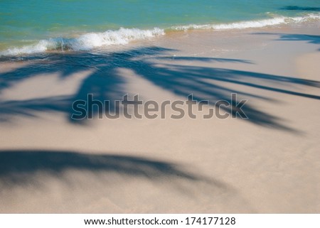 Palm tree shadow on tropical beach