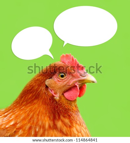 Red Chicken with Thought Balloons on Green Background