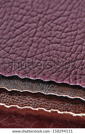 Artificial Leather Swatches