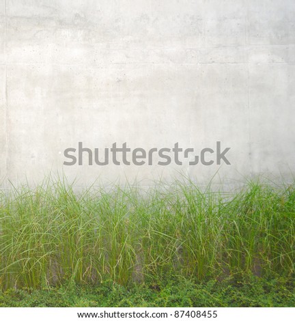 Green Plants Growing Near Grey Concrete Wall