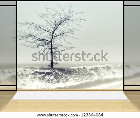 Digital background for studio photographers. Zen room with Lonely tree in fog background.