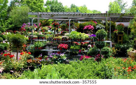 Retail plant nursery stocked for the weekend \