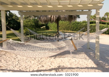 pergola hammock
