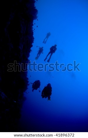 Scuba Divers in blue water