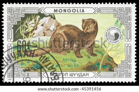 MONGOLIA - CIRCA 1986: A stamp printed in Mongolia shows animal, circa 1986