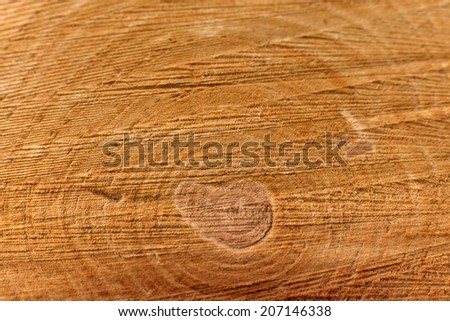 Very Old Wood Background  Cross section of tree trunk