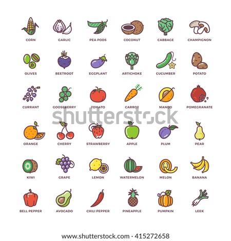 Fruit and vegetables line vector icons with flat elements. Vegetable food, element fruit, sign fruit and vegetables set, fruit and vegetables illustration