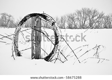 Barbed wire in Winter