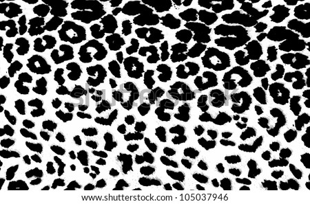 Cheetah Print Black