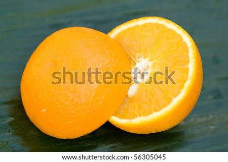 Orange Cut Up