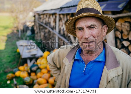 Baita De Sub Codru - October 13 : Old Man Working At Farm On October 13, 2013 In Baita De Sub Codru , Maramures , Romania