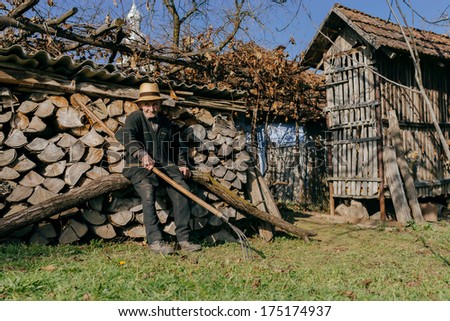 ARDUZEL - OCTOBER 13 : Old man working at farm on October 13, 2013 in Arduzel , Maramures , Romania