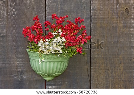 Flowers portrait
