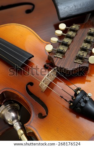 Details of stringed instrument