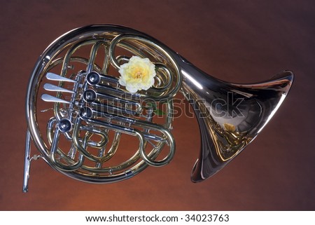 A gold brass French horn with a yellow rose isolated against a brown background in the horizontal format.