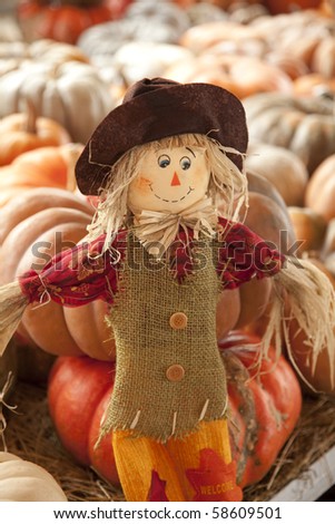 A thanksgiving doll or scarecrow in a fall setting of pumpkins with the horizontal format.