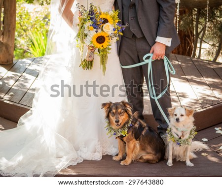 bride and groom with boy and girl dog on blue leash