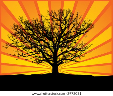 free oak tree clip art. an old oak tree and sunset