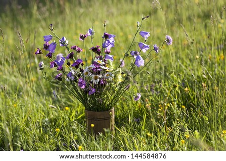 bouquet of wild natural flowers, selective focus