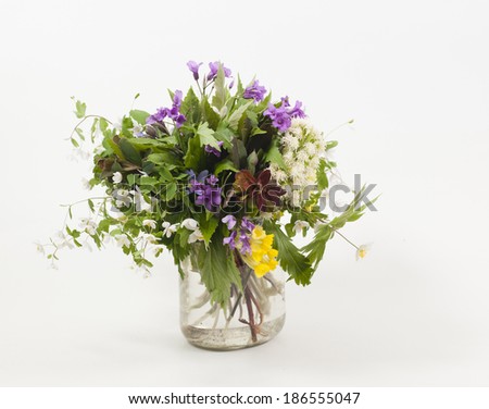 wild flowers in glass jar isolated on white background