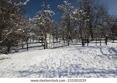 Sunny landscape in the mountain village. Winter morning. Iltsi village, Carpathian, Romania