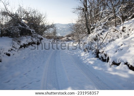 Sunny landscape in the mountain village. Winter morning. Iltsi village, Carpathian, Romania