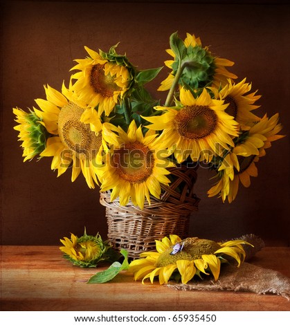 Still Life with Sunflower and Butterfly