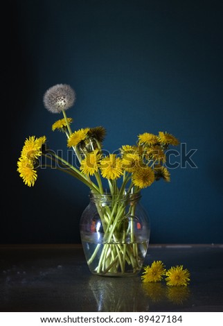 still life with flowers of dandelion