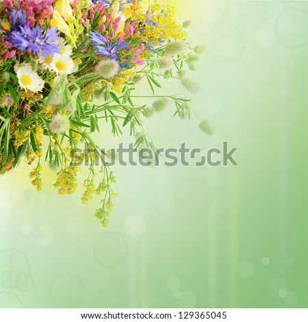 Bouquet of summer flowers  with green bokeh and copy space,  floral background