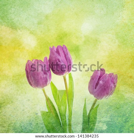 Tulip flowers on the  green and yellow grunge  textured watercolor, background